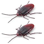 Robo Alive Crawling Cockroach Glow in The Dark (2 Pack) by ZURU Battery-Powered Robotic Interactive Electronic Cockroach Toy That Moves and Crawls, Prankst Toys for Boys, Kids, Teens