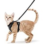 rabbitgoo Cat Harness and Leash for Walking, Escape Proof Soft Adjustable Vest Harnesses for Cats, Easy Control Breathable Reflective Strips Jacket, Black, S