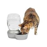 Petmate Replendish Automatic Gravity Waterer for Cats and Dogs, BPA-Free, No Batteries Required, Includes Charcoal Filter, 0.5 Gallon,Silver