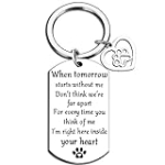 Ikacvb Dog Memorial Gifts For Loss Of Dog Pet Sympathy Gifts Loss Of Pet Dog Cat Lost Pet Memorial Funerary Sympathy Gift For Dog Pup Puppy Kitty Cat Owner Lovers Friends Keepsake Keychain